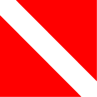 Diver Down's emblem