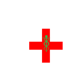 BRIGGBOY81's emblem
