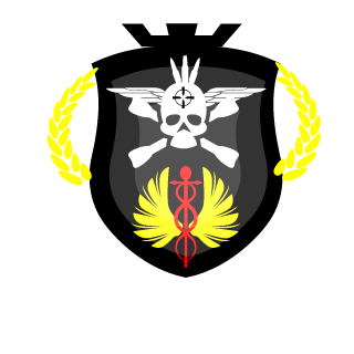 ShadowP96's emblem