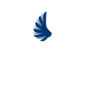 d53ca0a2b40091fc's emblem