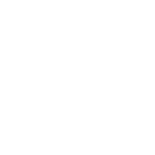 nelsonbarroso's emblem