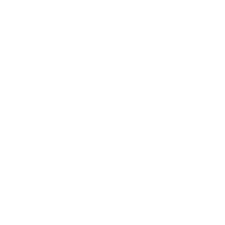 mindflux6's emblem
