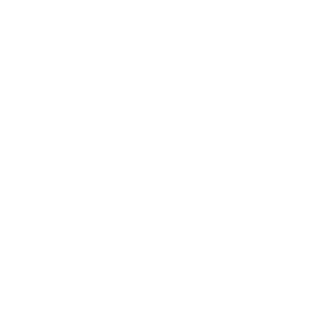 HFHL's emblem