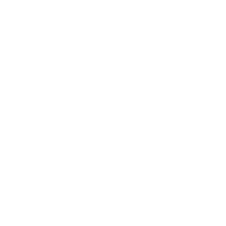 Ghostman1911's emblem
