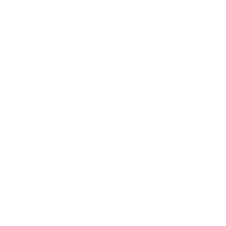 lDRAG3Nl's emblem