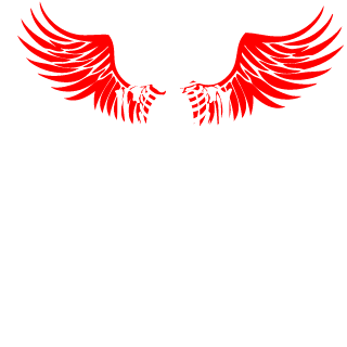 UFA_Vikingg's emblem
