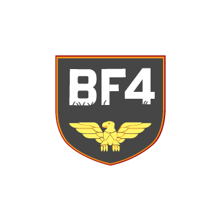 Caio_FS's emblem