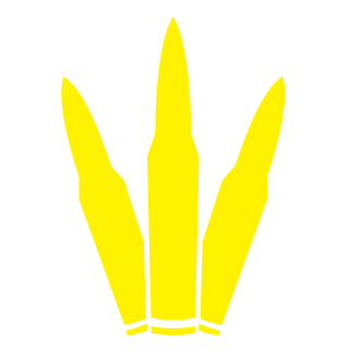 Surokk88Rus's emblem