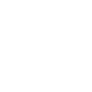 TCC_Analog's emblem