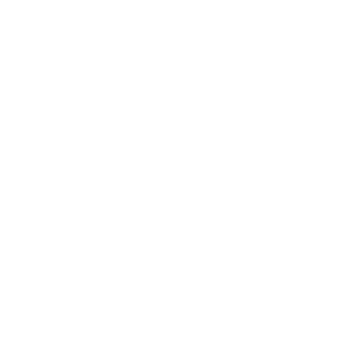 L-BLAPO's emblem