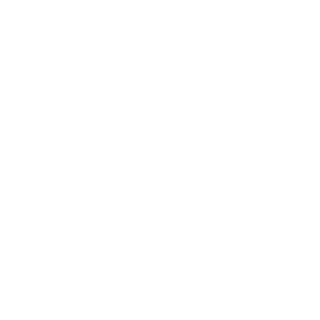 aaa-punishment's emblem