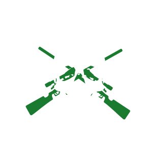 Augusto2479's emblem