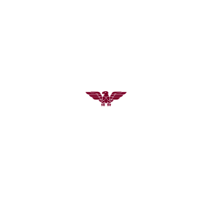 BimboJouns's emblem