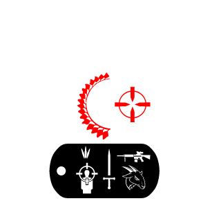 AGE_OF_RAGE_TR's emblem