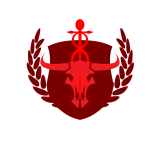 Drako19k's emblem