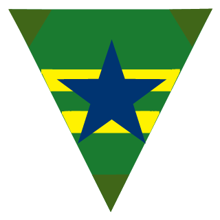 TexanLancer's emblem
