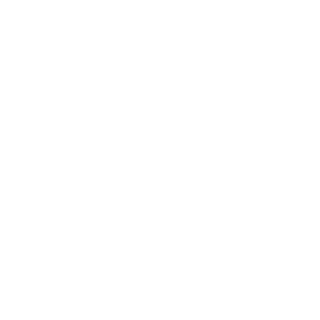 80Snake80's emblem