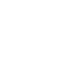 1_KidCharlemagne's emblem