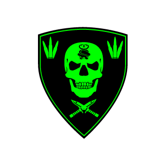 GH0ST7C4's emblem