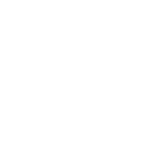 MaXImaN2606058's emblem