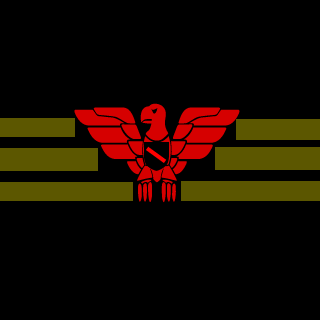 DimasterSkatilsa's emblem
