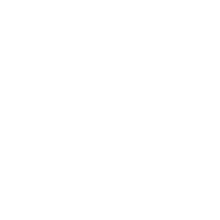 TheOnlyRicerBoi's emblem