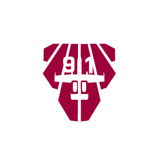 HaiduongDN91's emblem