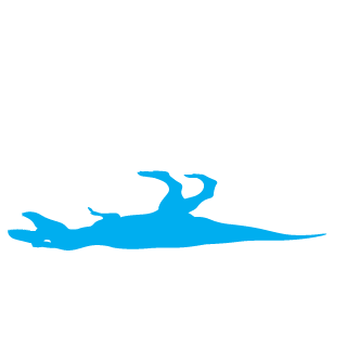 __imdumb__1234's emblem