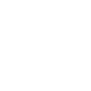 XXX_MAGNETO_XXX's emblem