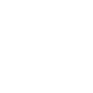 1s-t-e-i-n-e-r1's emblem