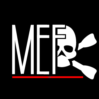 MASTER EFFECTIVE FIGHT's emblem
