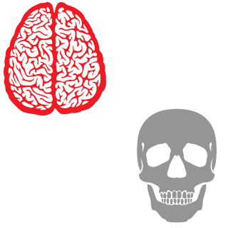 StatsCountBy's emblem