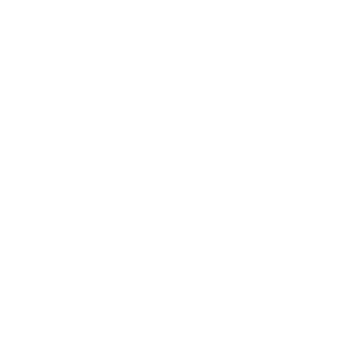 BrodoSwaggins_II's emblem