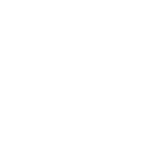 AyouLR's emblem