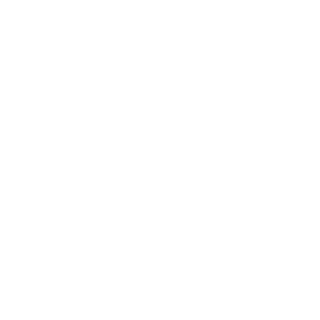 talker161rus's emblem