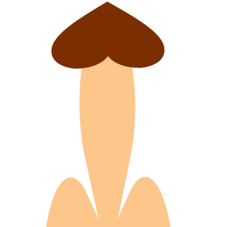 Sneakyeast21's emblem
