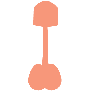 Southern Rebels's emblem