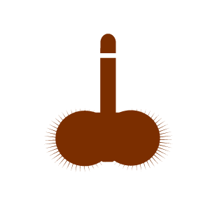sa_je69's emblem