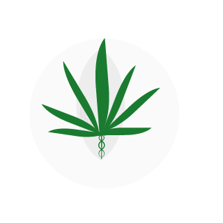 ZorkdaGod's emblem
