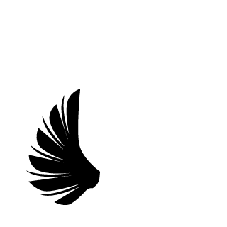 HyteRxx's emblem