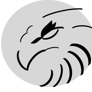 15CEagle's emblem