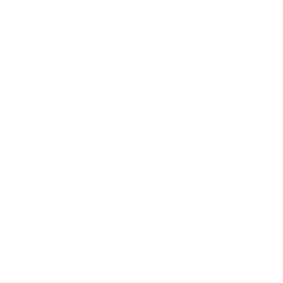 N2MBacon's emblem