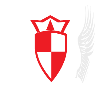 1xxnartyxx1's emblem
