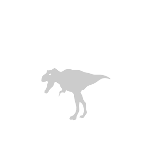 70sGuy's emblem