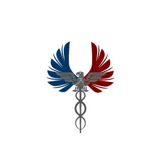 Eagles vAaaS's emblem