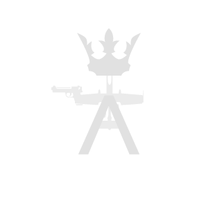 -Sh0wTime8u-'s emblem