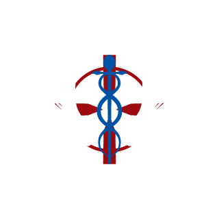 HDHPAIN7's emblem