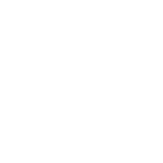 m-ndegeocello's emblem