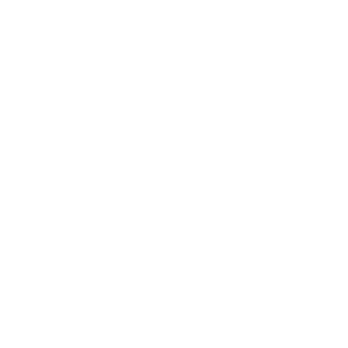 bulldesign's emblem