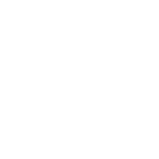 jayzhouking890's emblem